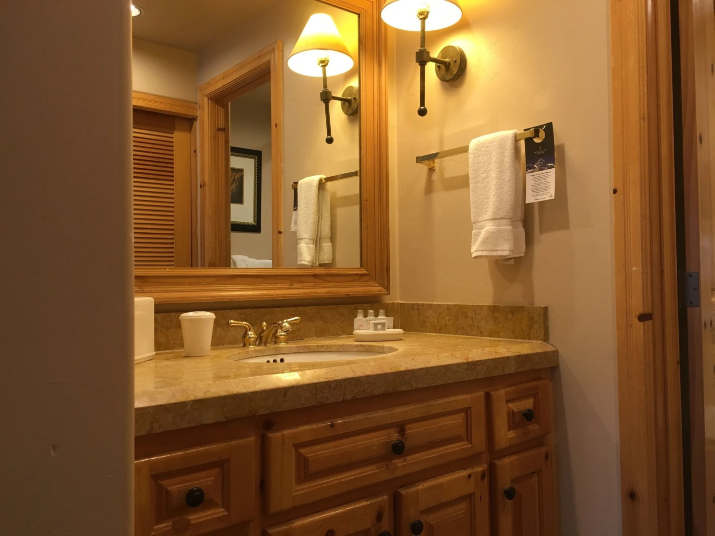 Mountain Lodge Telluride