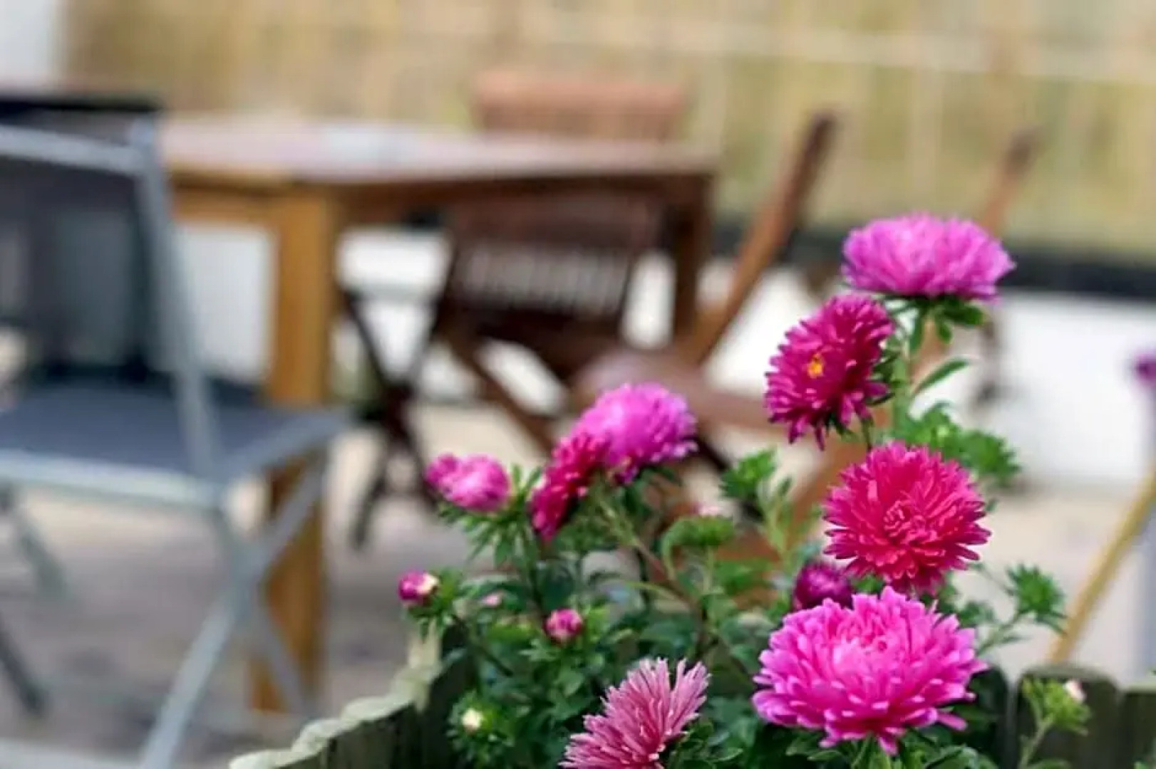 Costa Norte - Atlantic North Shore Guest House