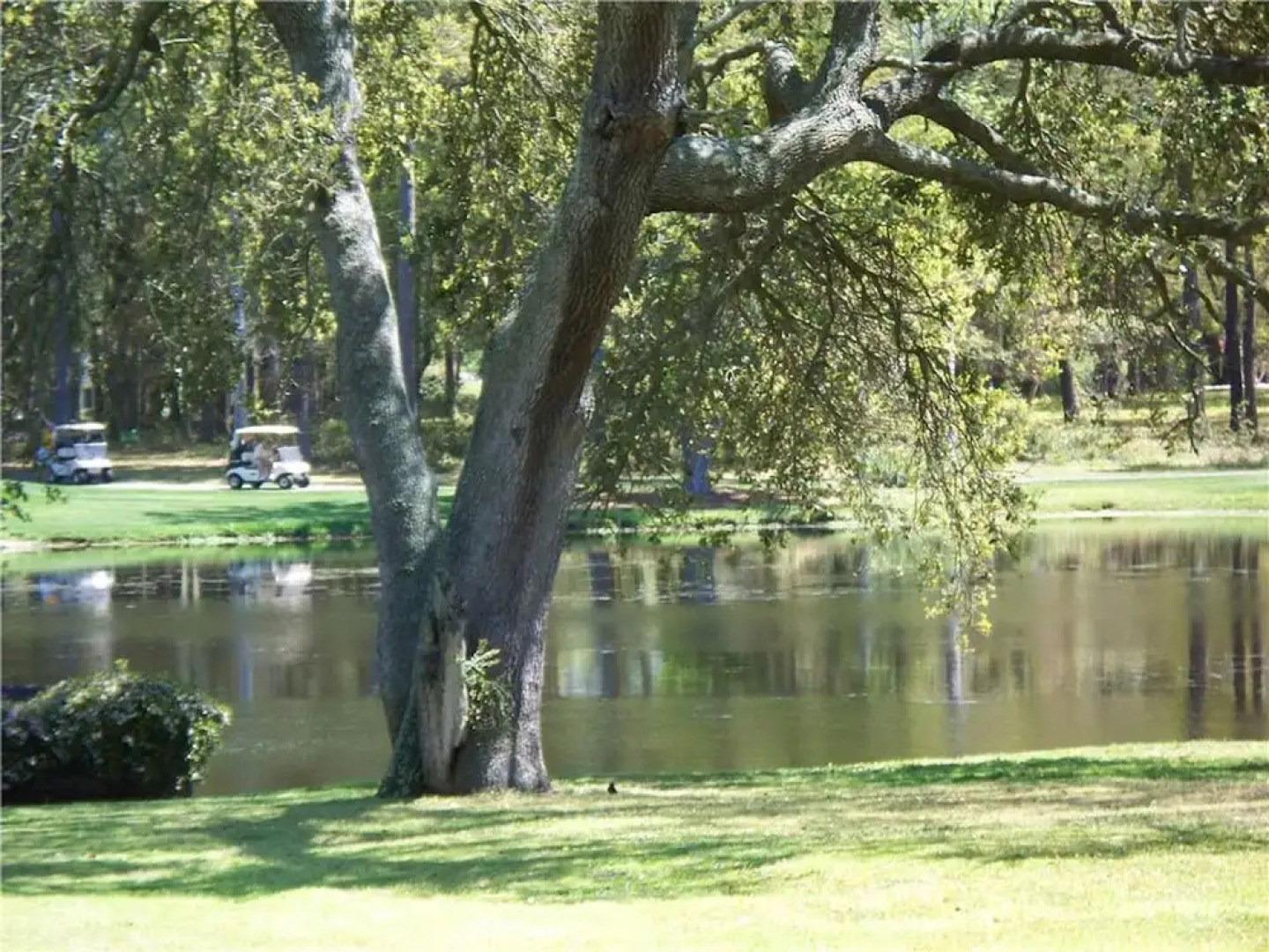 Colony I Condos by Sloane Realty Vacations