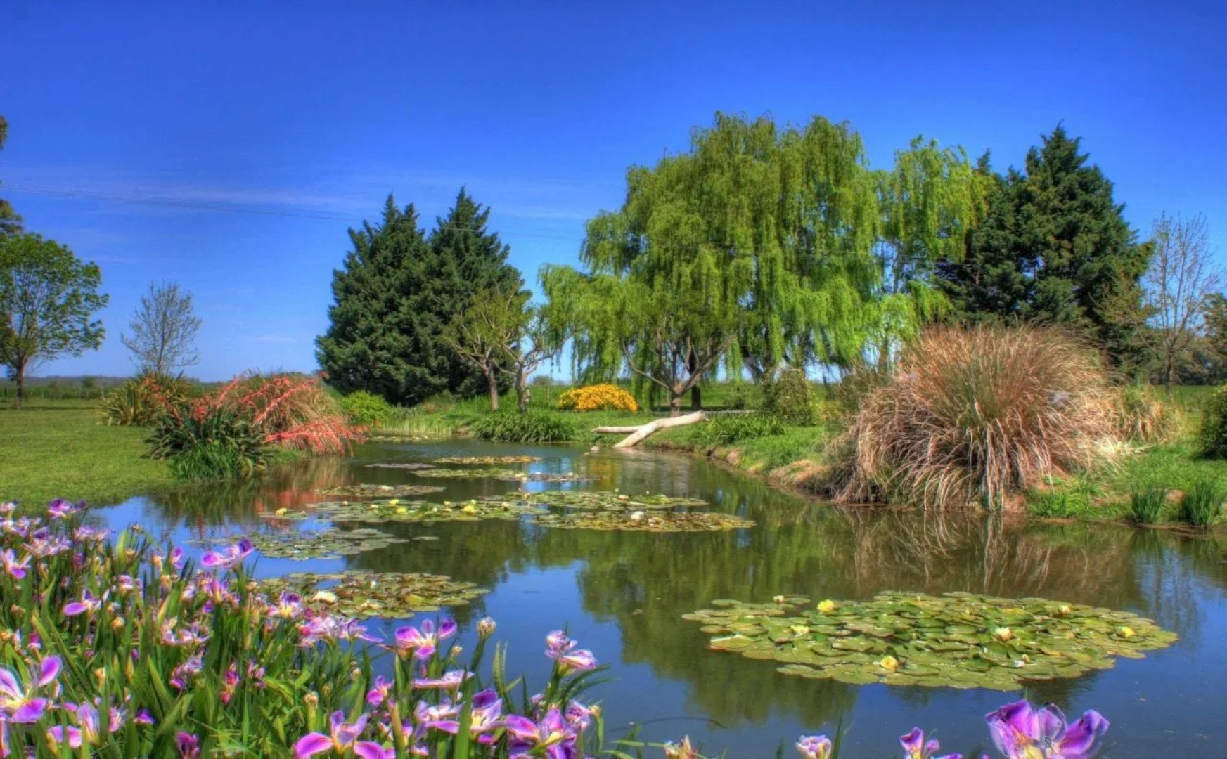(Estancia) El Ombú De Areco