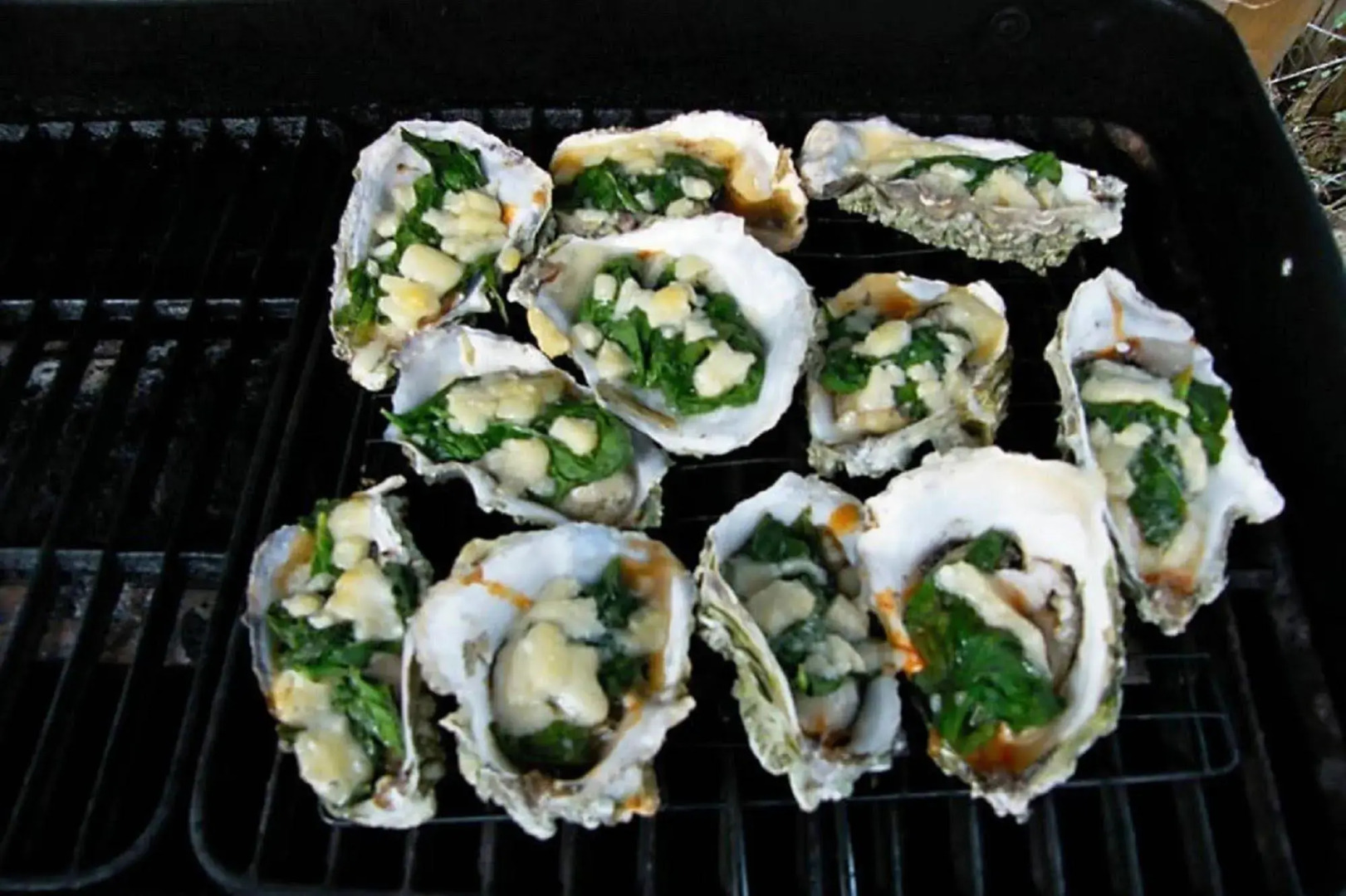 Shady Shores Beach Resort