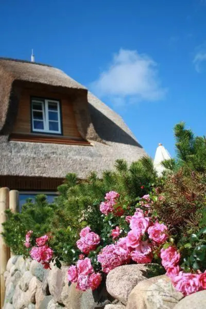 Westerheide Ferienhaus Freude