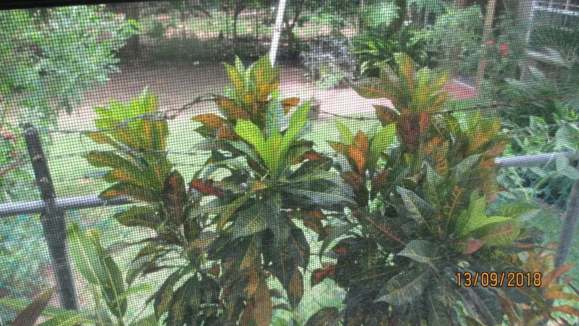 Tropical Breeze Guest House