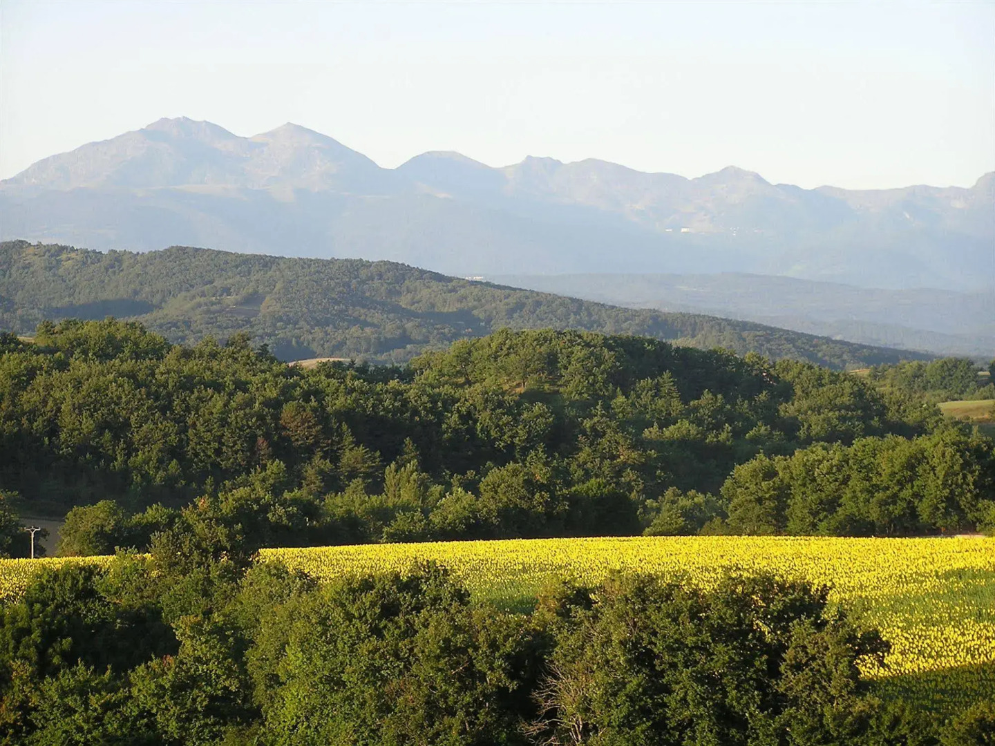 Auberge Du Balestié