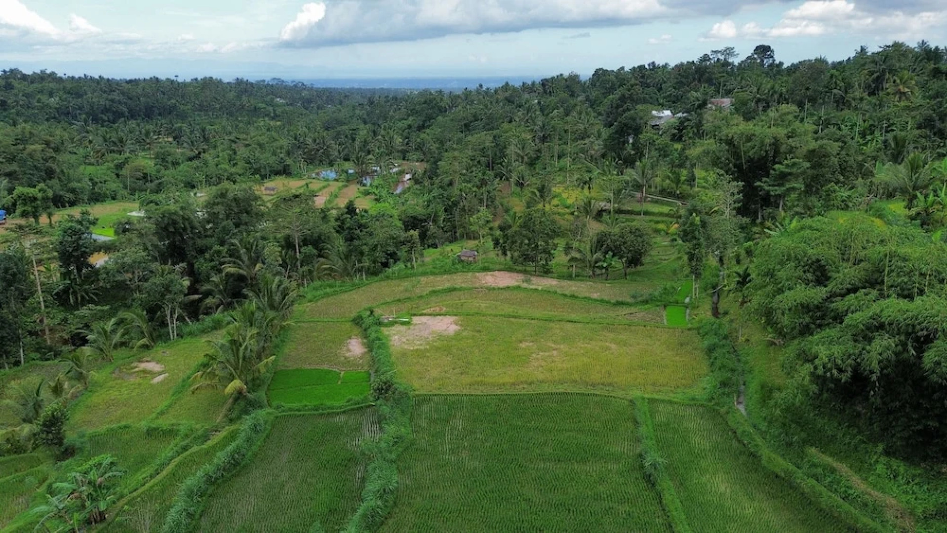 Serenity Lodge Tetebatu Lombok