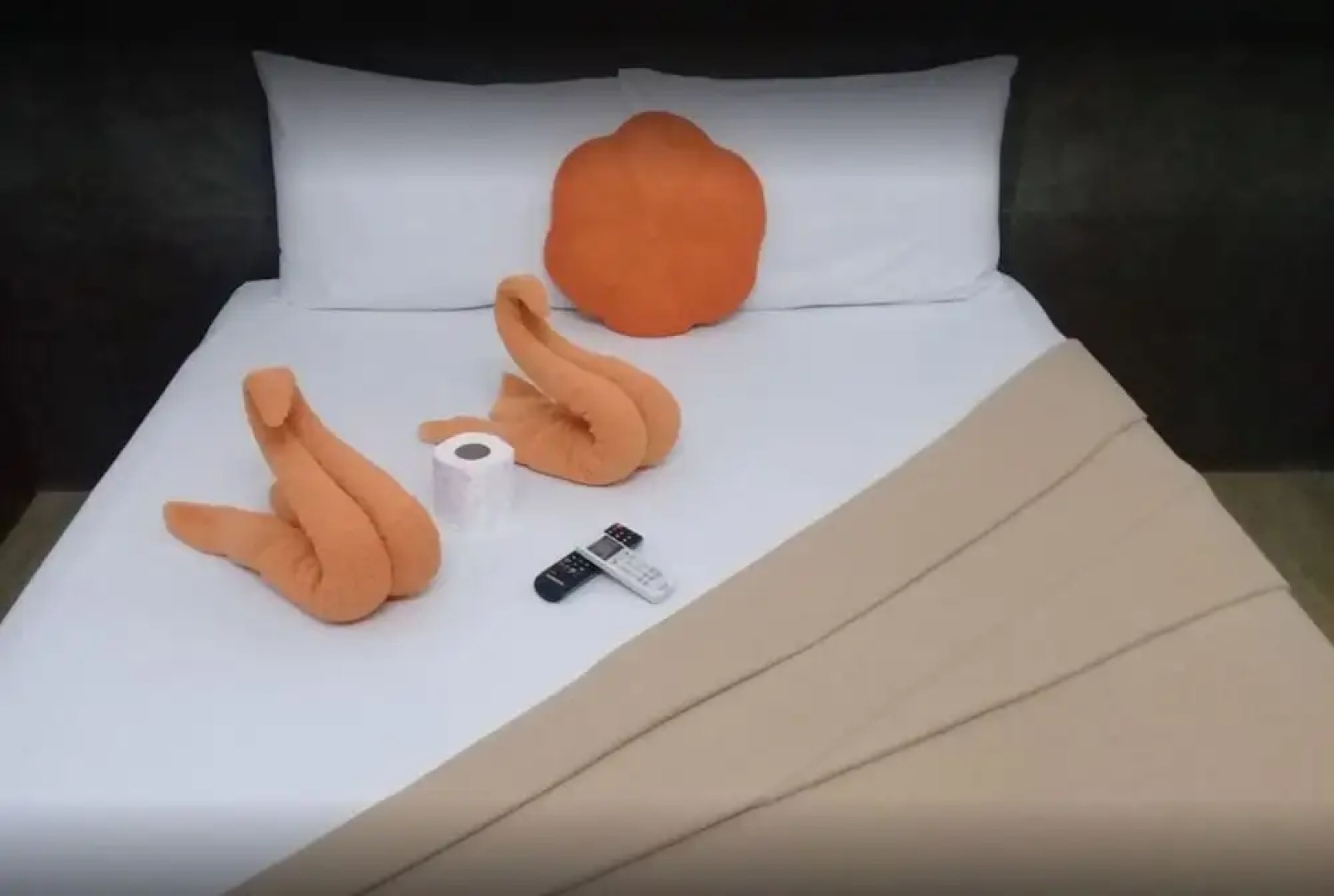 Ey Miners Suites Navarro