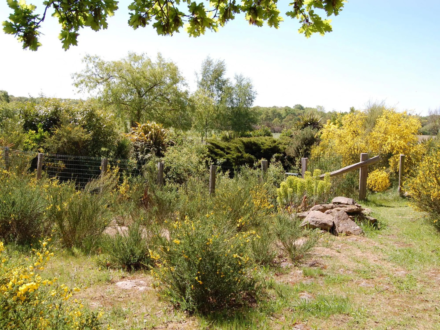 Nice Property on one of the Most Beautiful Places in Bretagne