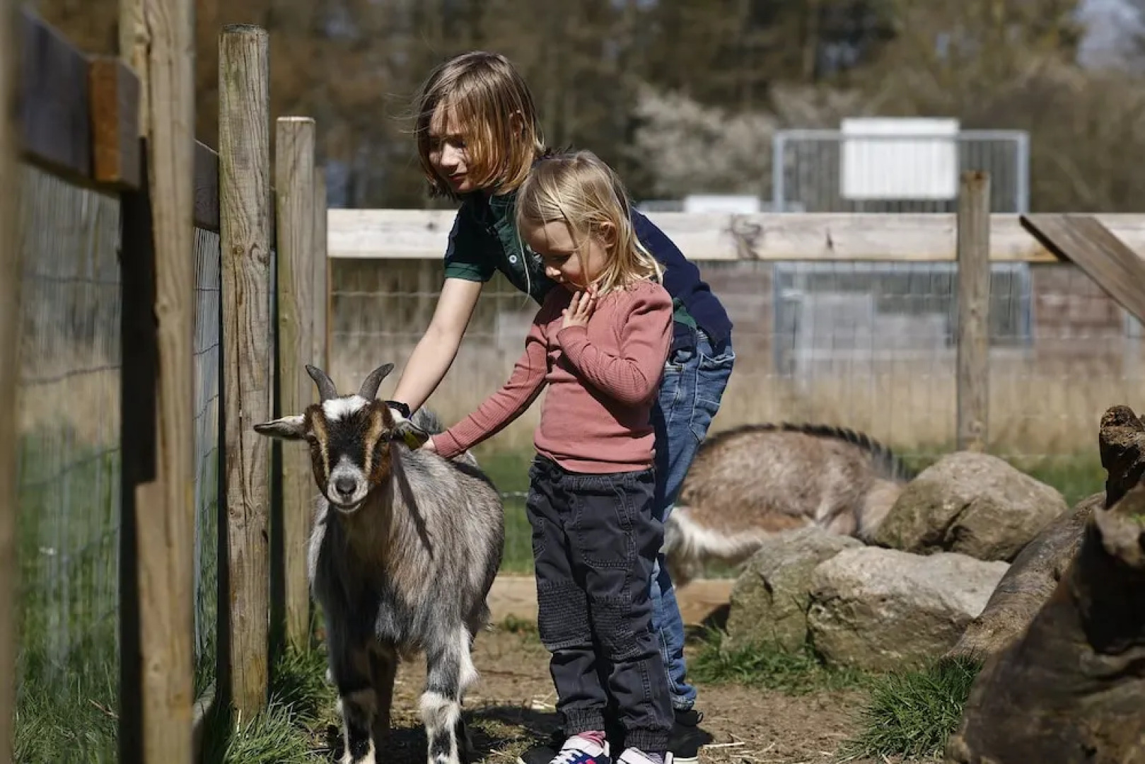 Pederstrup Bed and Breakfast