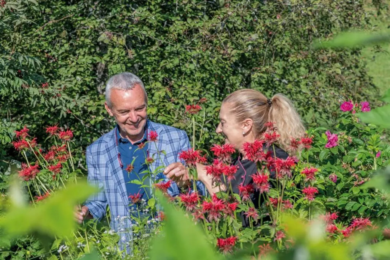 Silentium Dolomites Chalet