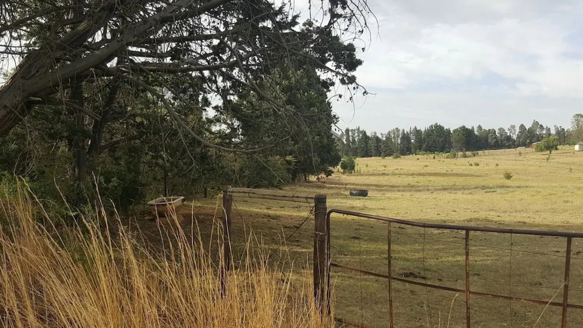 The Fat Mulberry Guesthouse