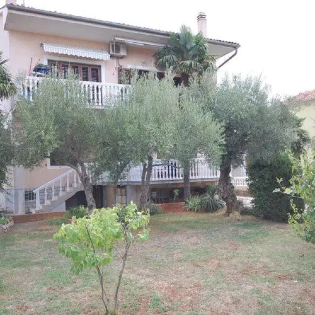 Apartment Dorcic