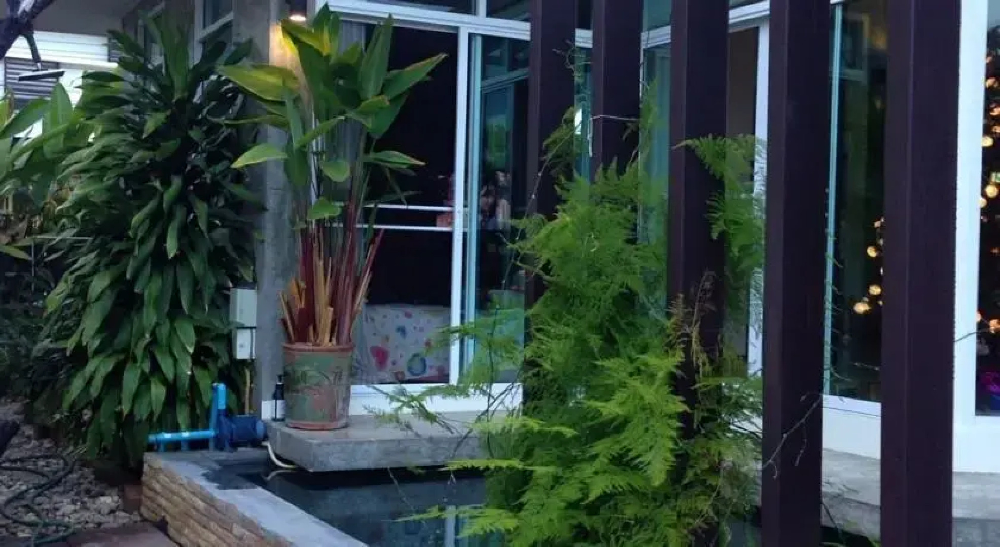 Nature in Chiang Mai