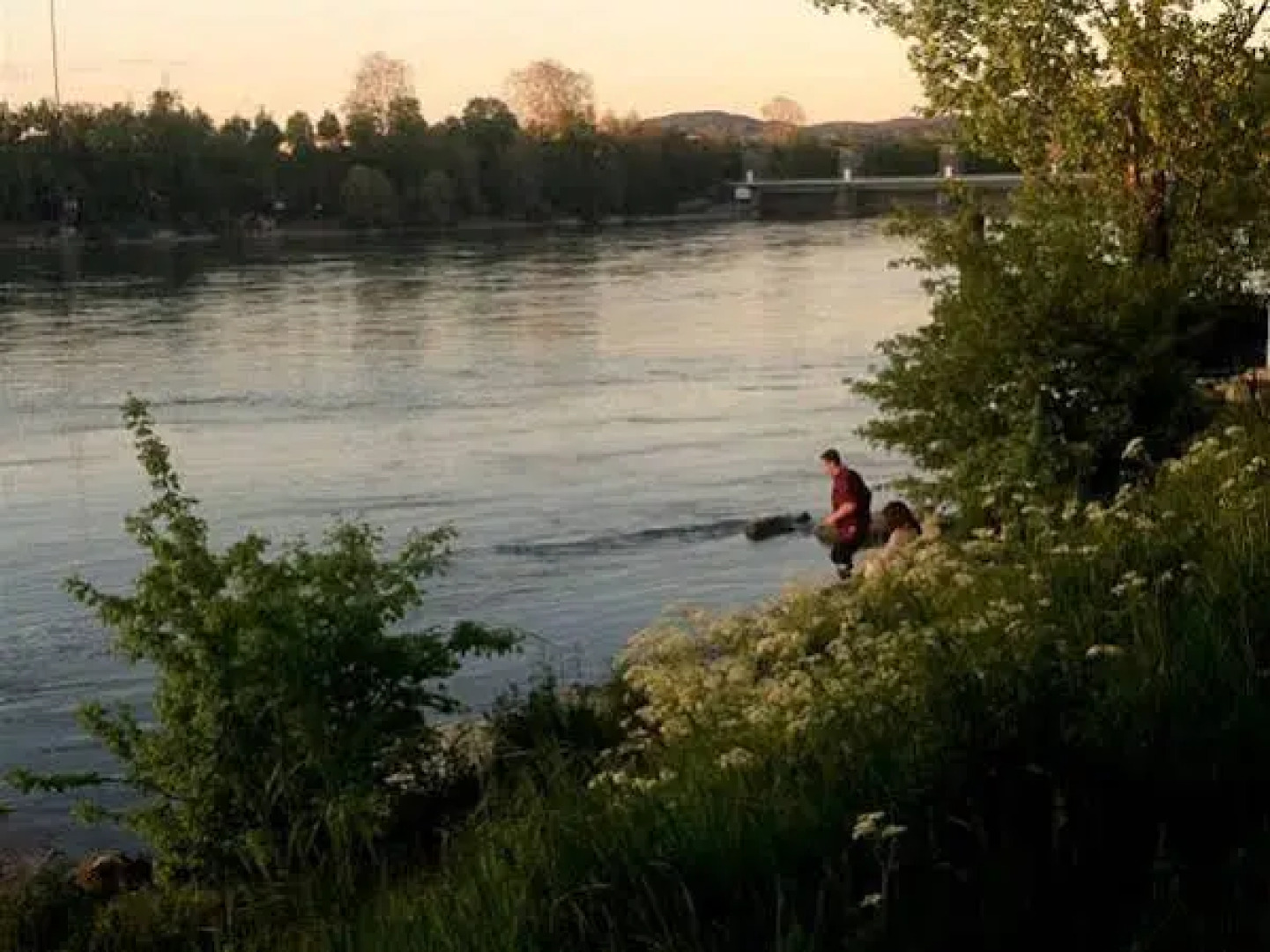 Aarons Sleep-Well B&B Basel