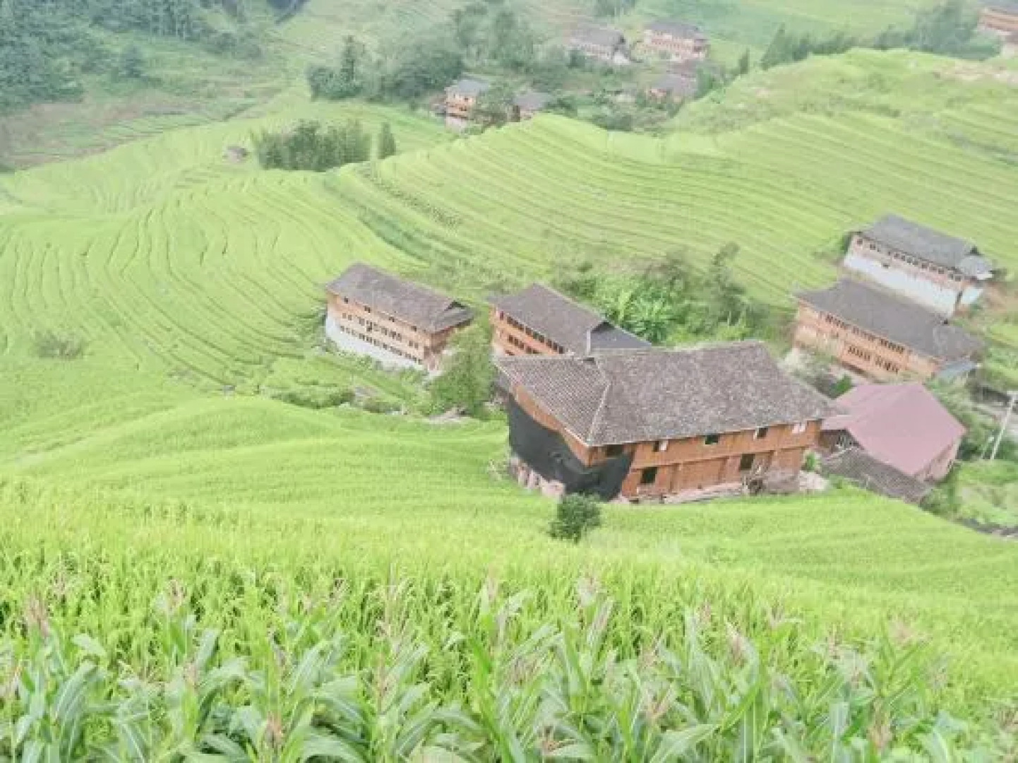 Jinyuan Gelou Homestay