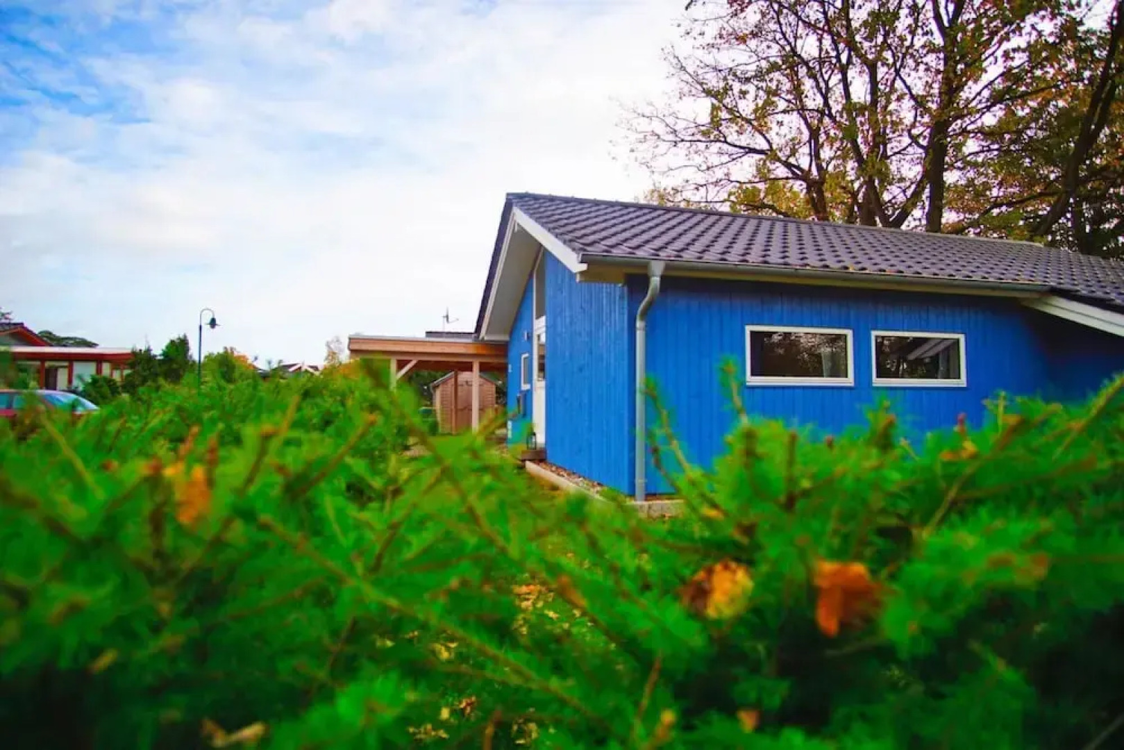 Ferienhaus Seeadler mit Sauna am Dummer See