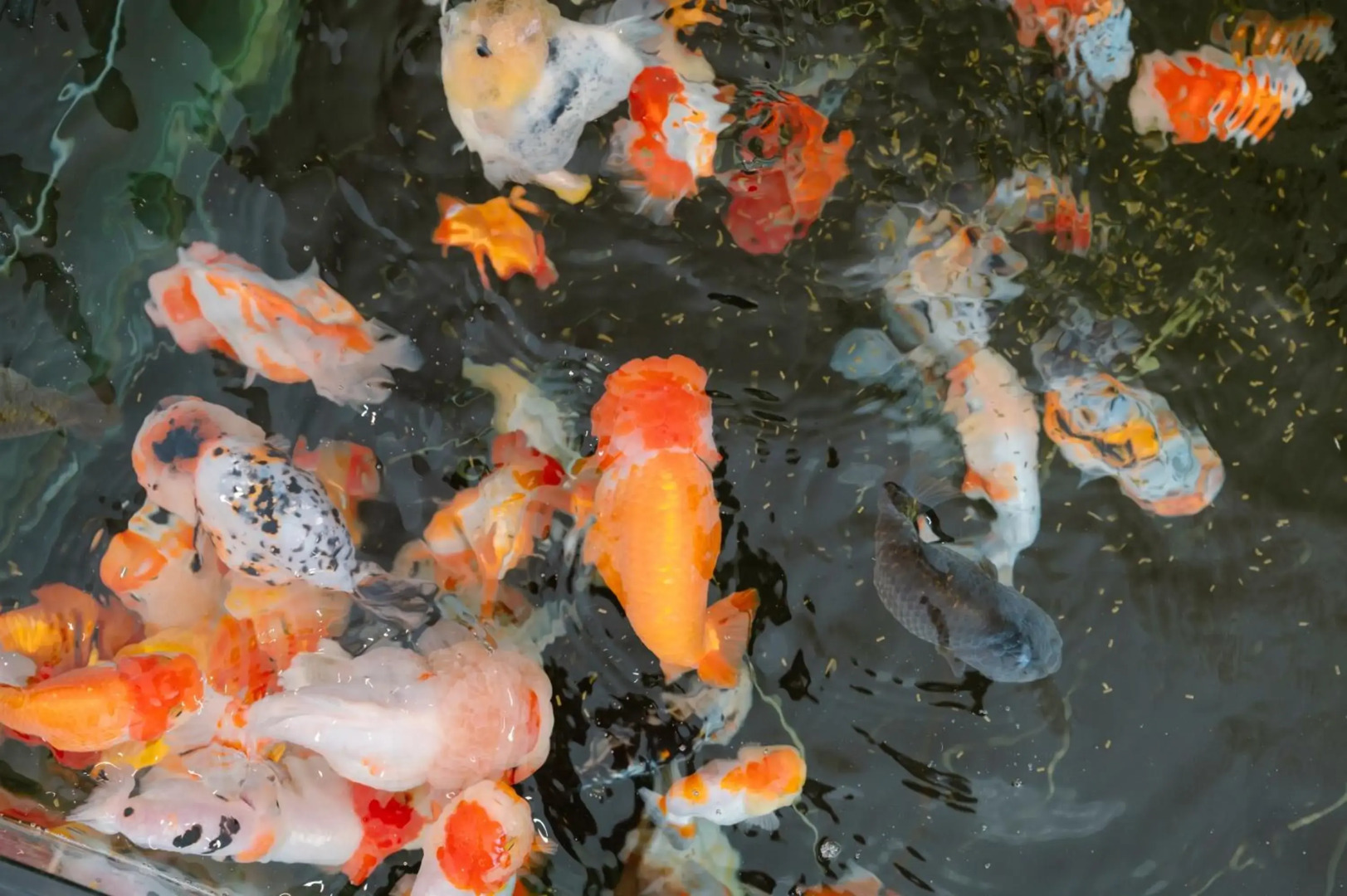 Phuoc Thanh IV Hotel