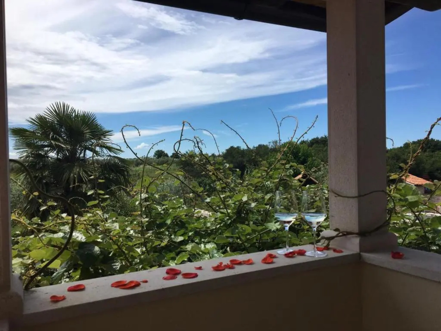 Appartment Hacienda Monica