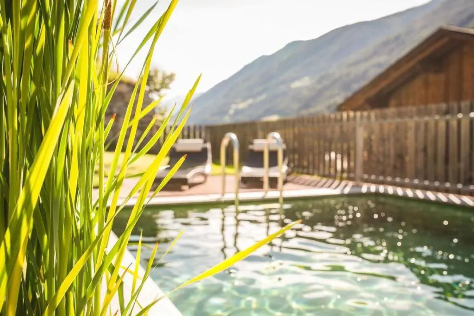 XL Appartements Steinhaus