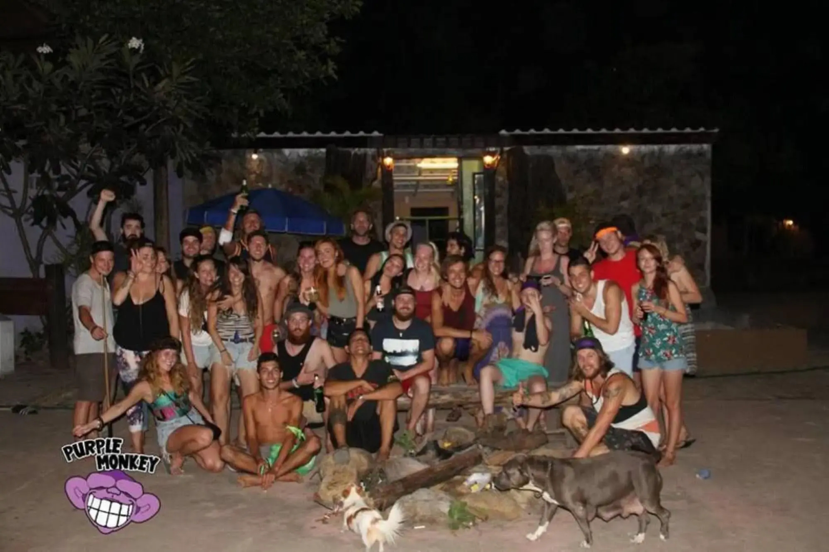 Purple Monkey Backpackers