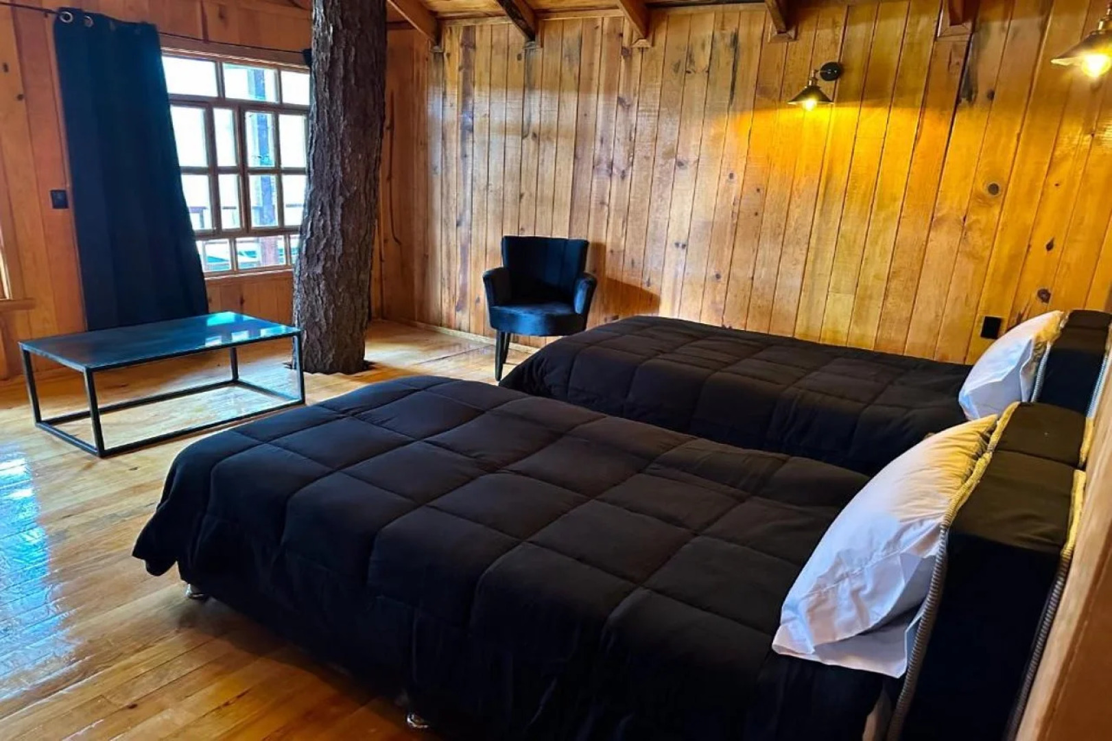 PINE TREE Hotel Boutique & Cabañas