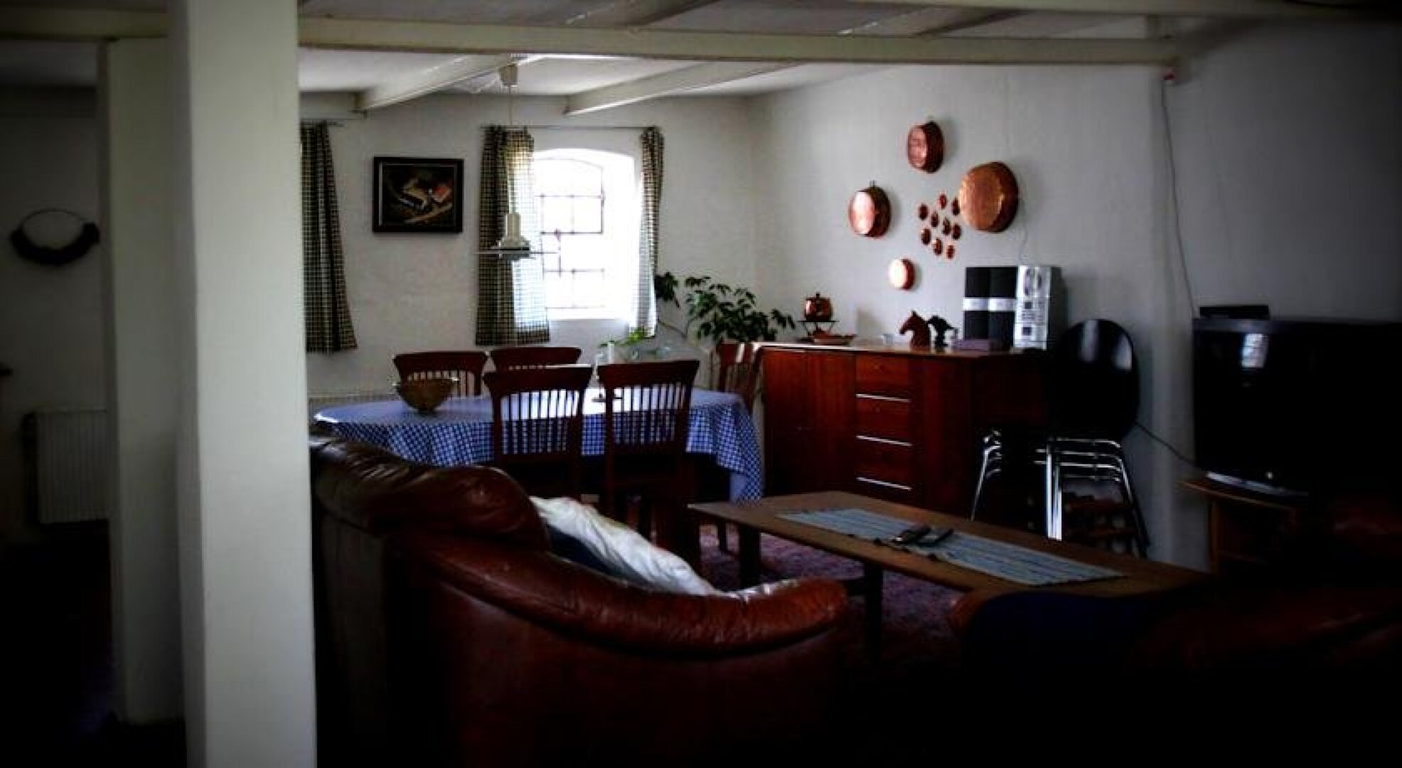 Stutteri Skandi Hest