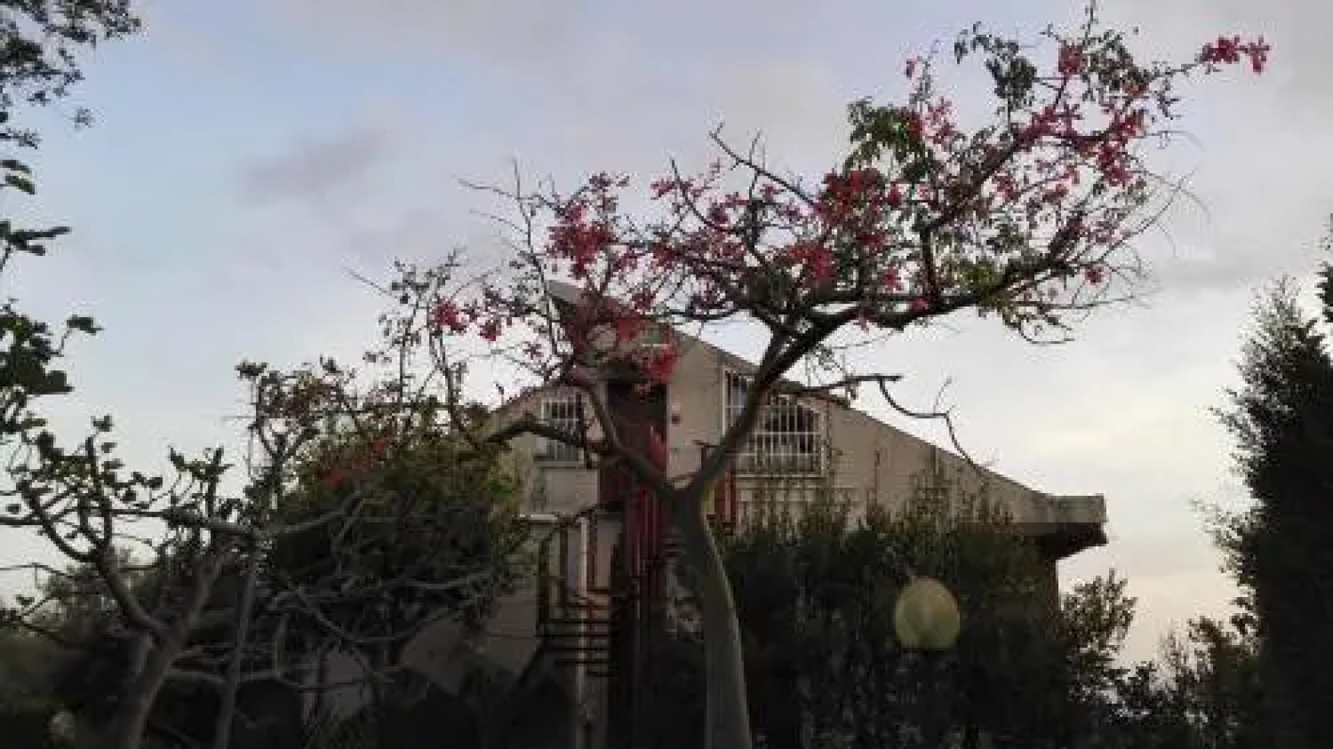 Lucrezia Loft Garden Catania