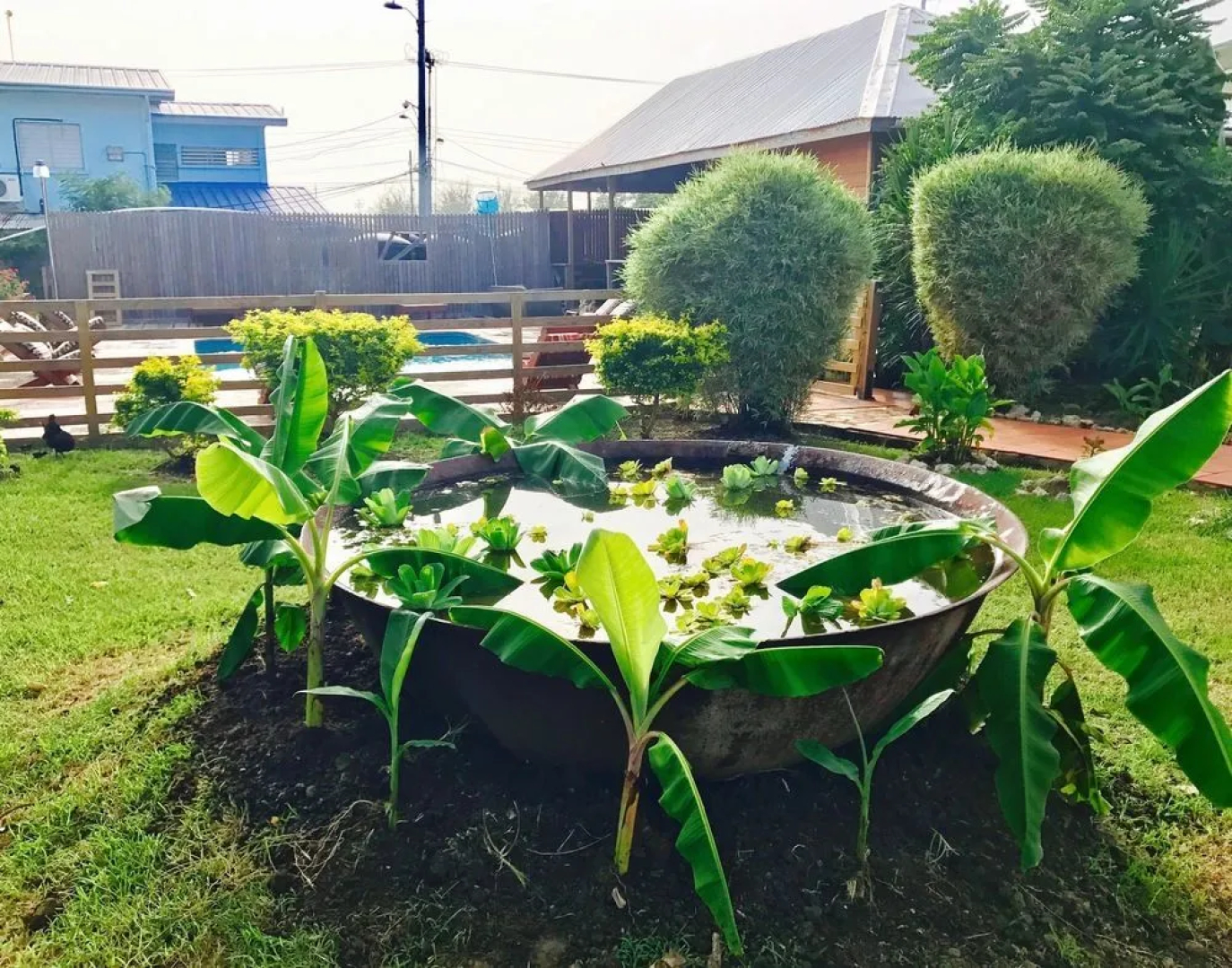 Bagos Eco Retreat & Cafe