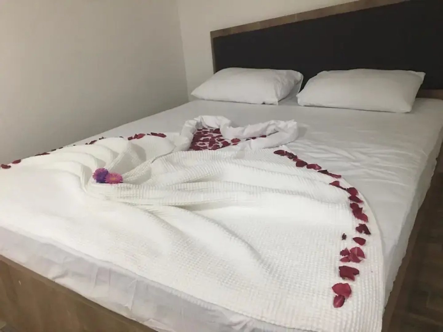 Triton Apart Otel