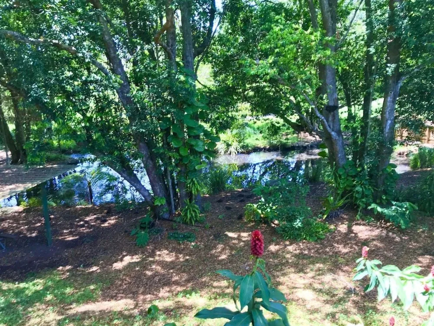 Lilyponds Holiday Park