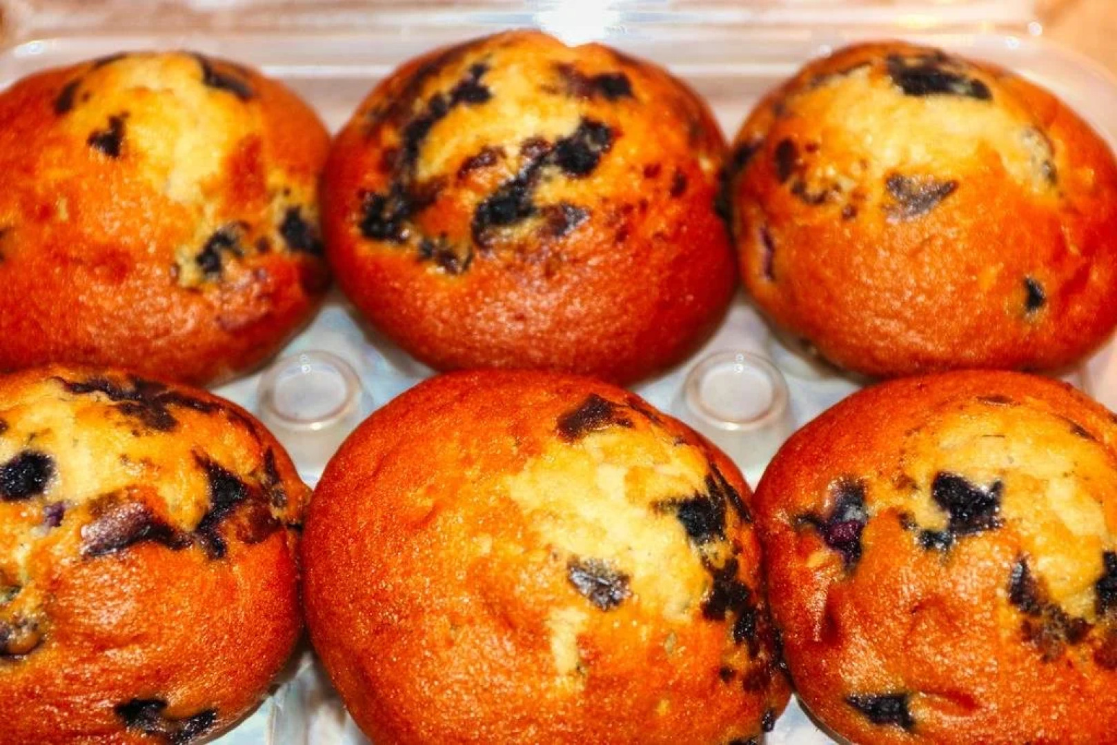 Auberge Motel 4 Saisons