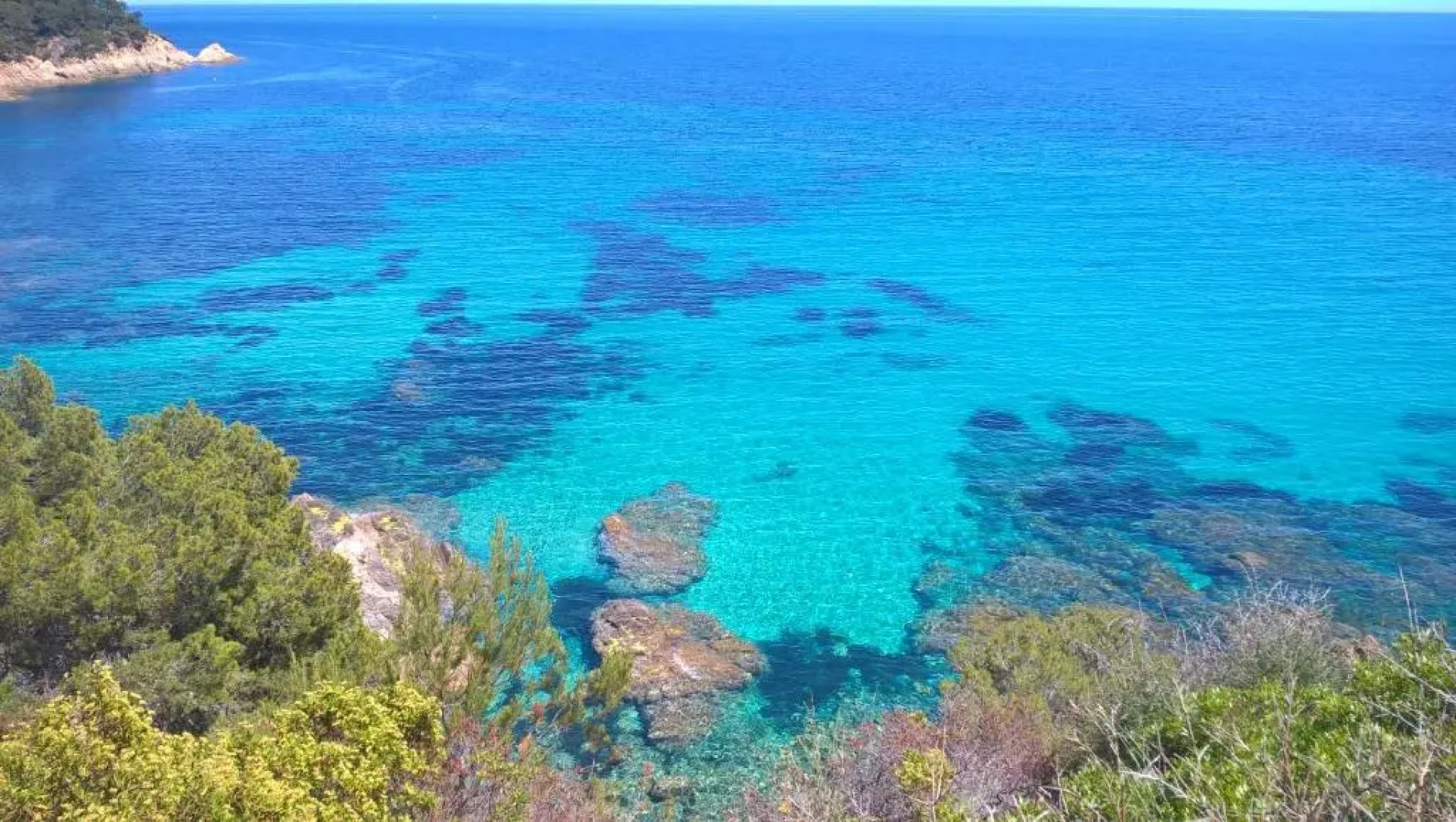 Villa miel et coquelicots