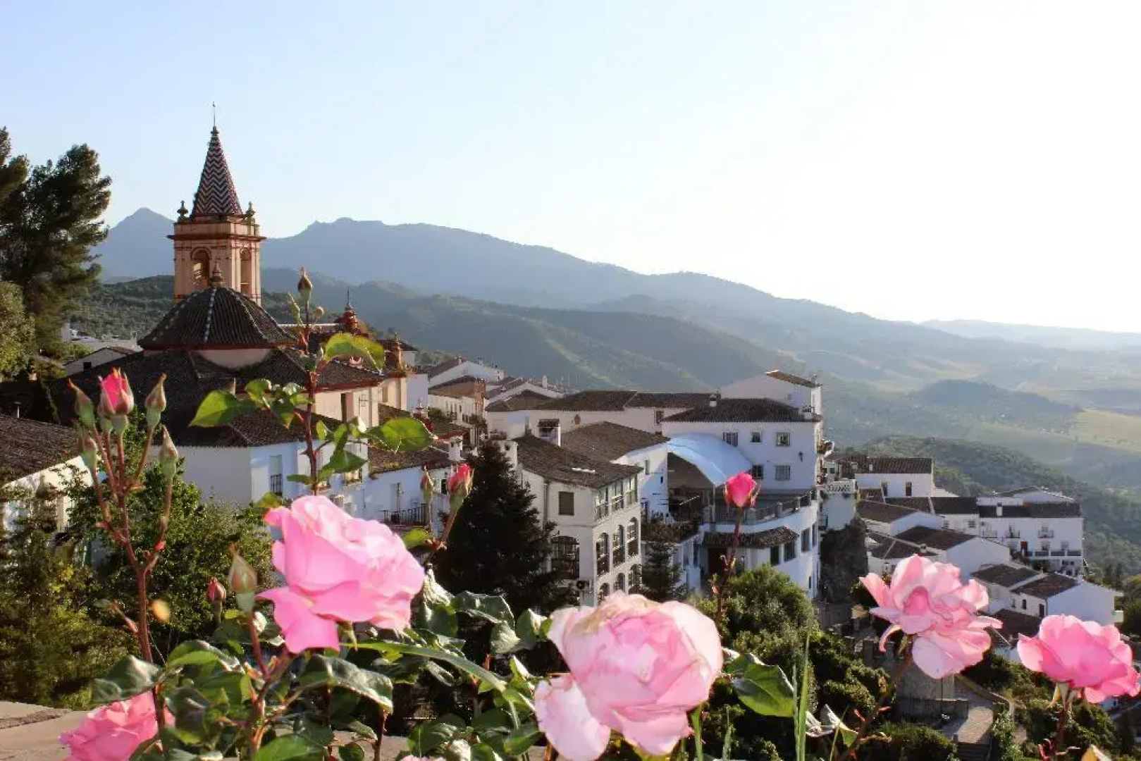 Hostal Marqués de Zahara