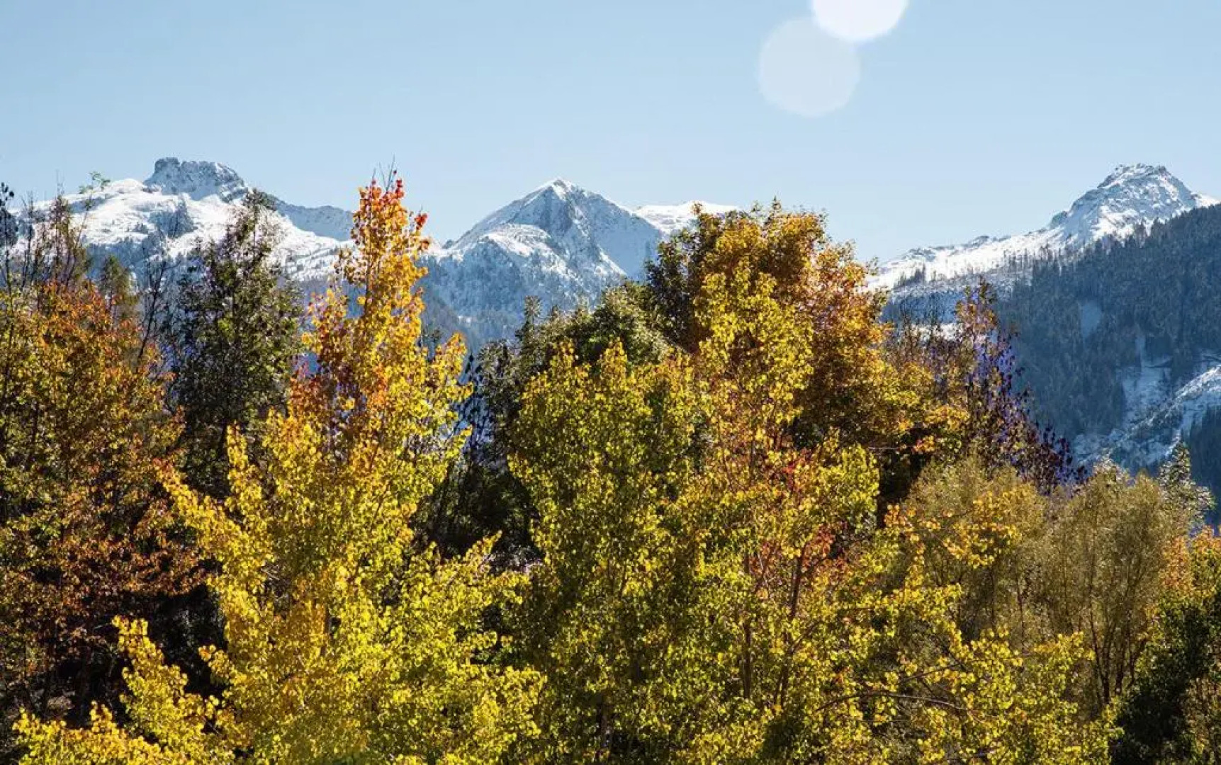 Artemisia Il Silenzio delle Dolomiti