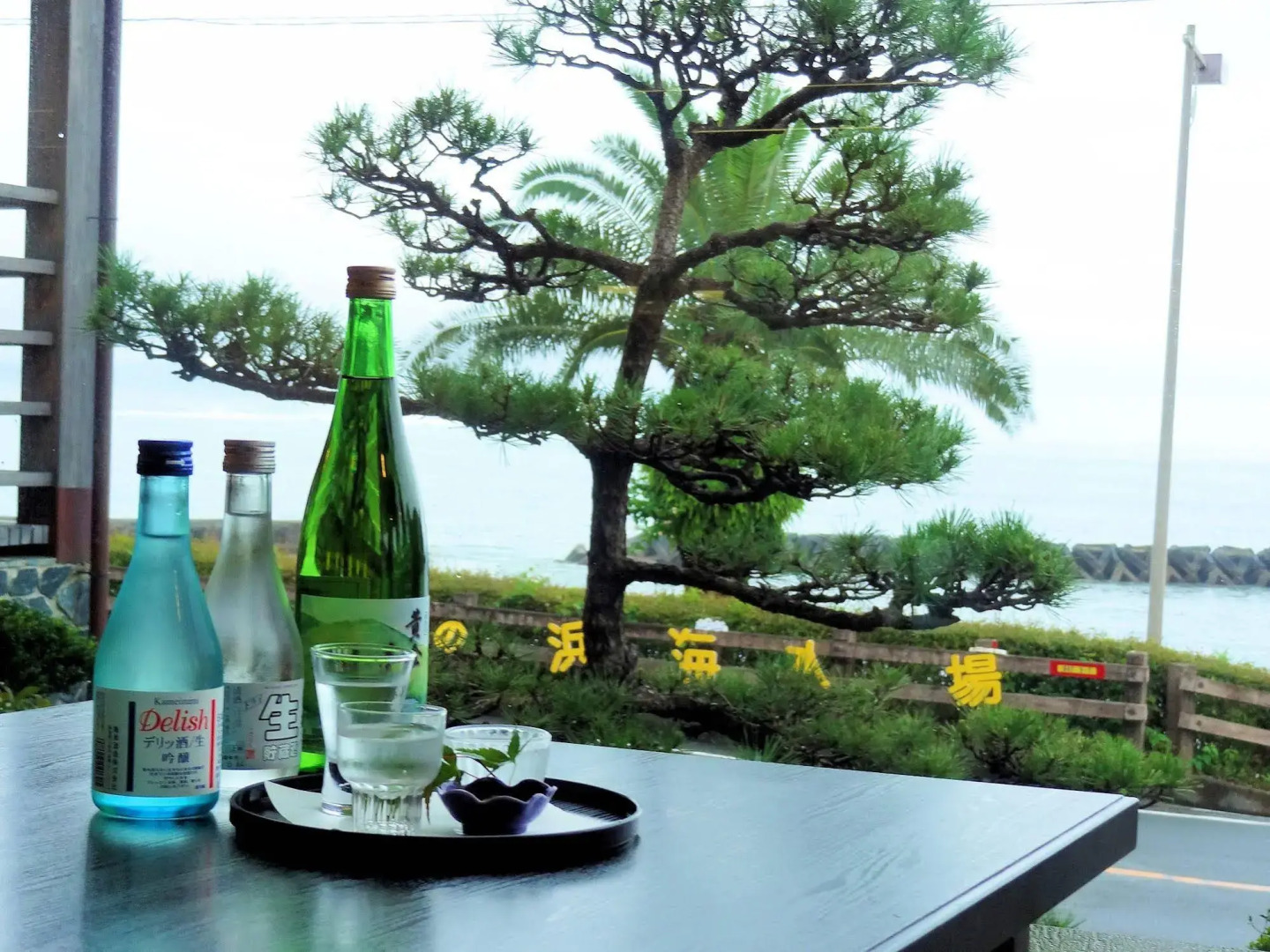 Tosaryu Onsen Sanyoso Ryokan