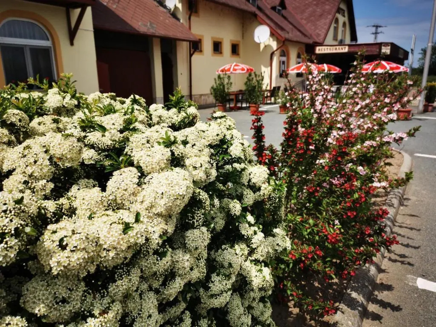 Patyi Étterem és Hotel
