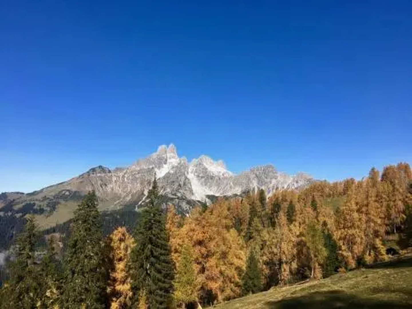 Appartementhaus Reiter Village Room