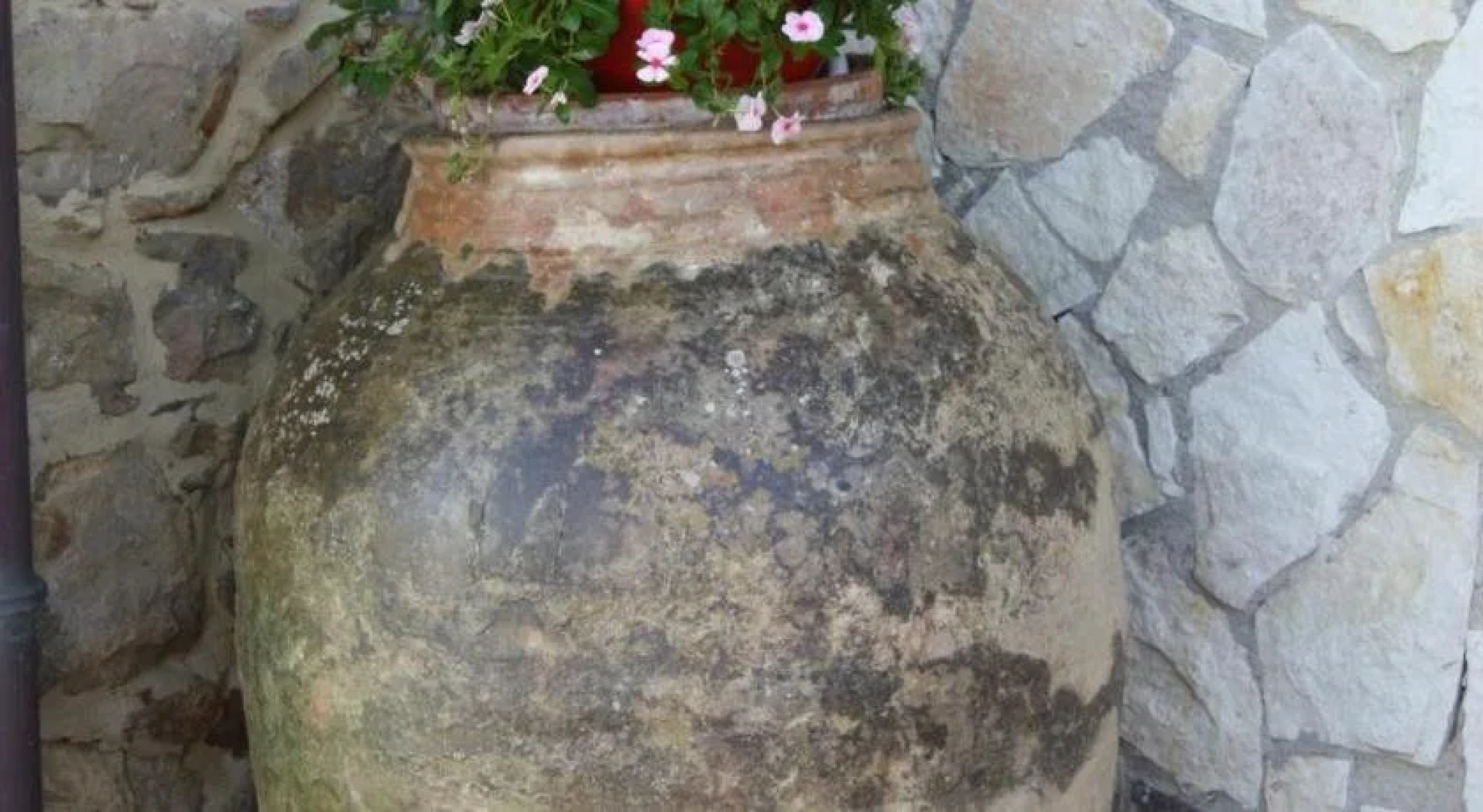 Camere & Casa Vacanze Lo Scoglio