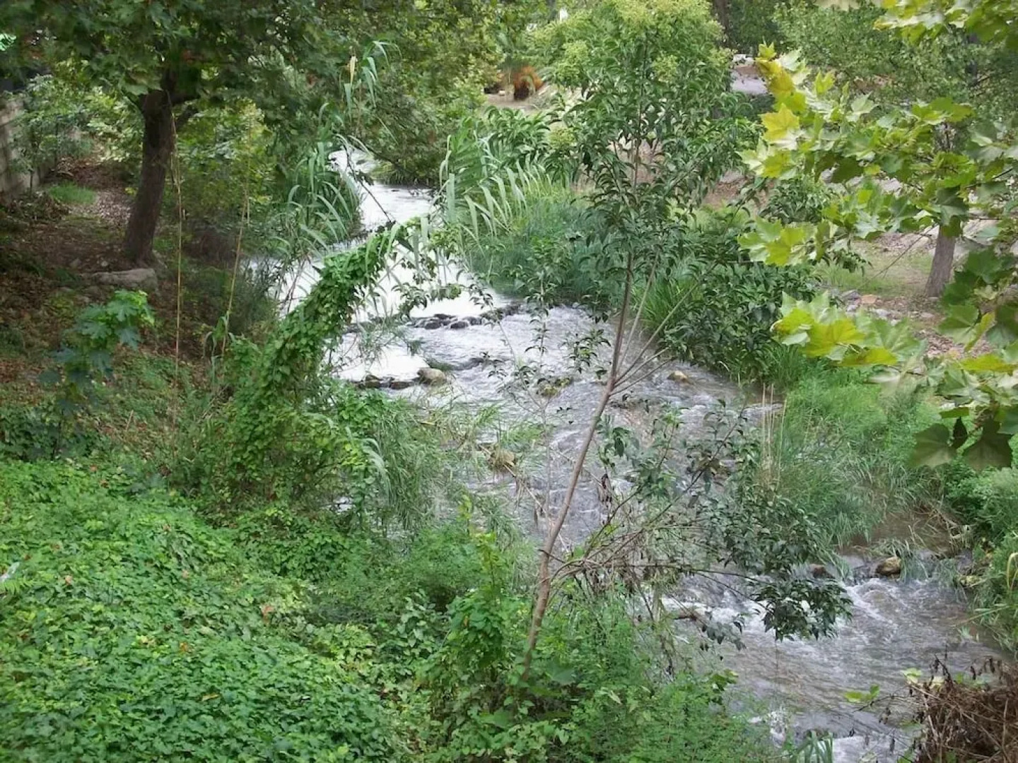 Casa Rural El Patio de las Cebollas