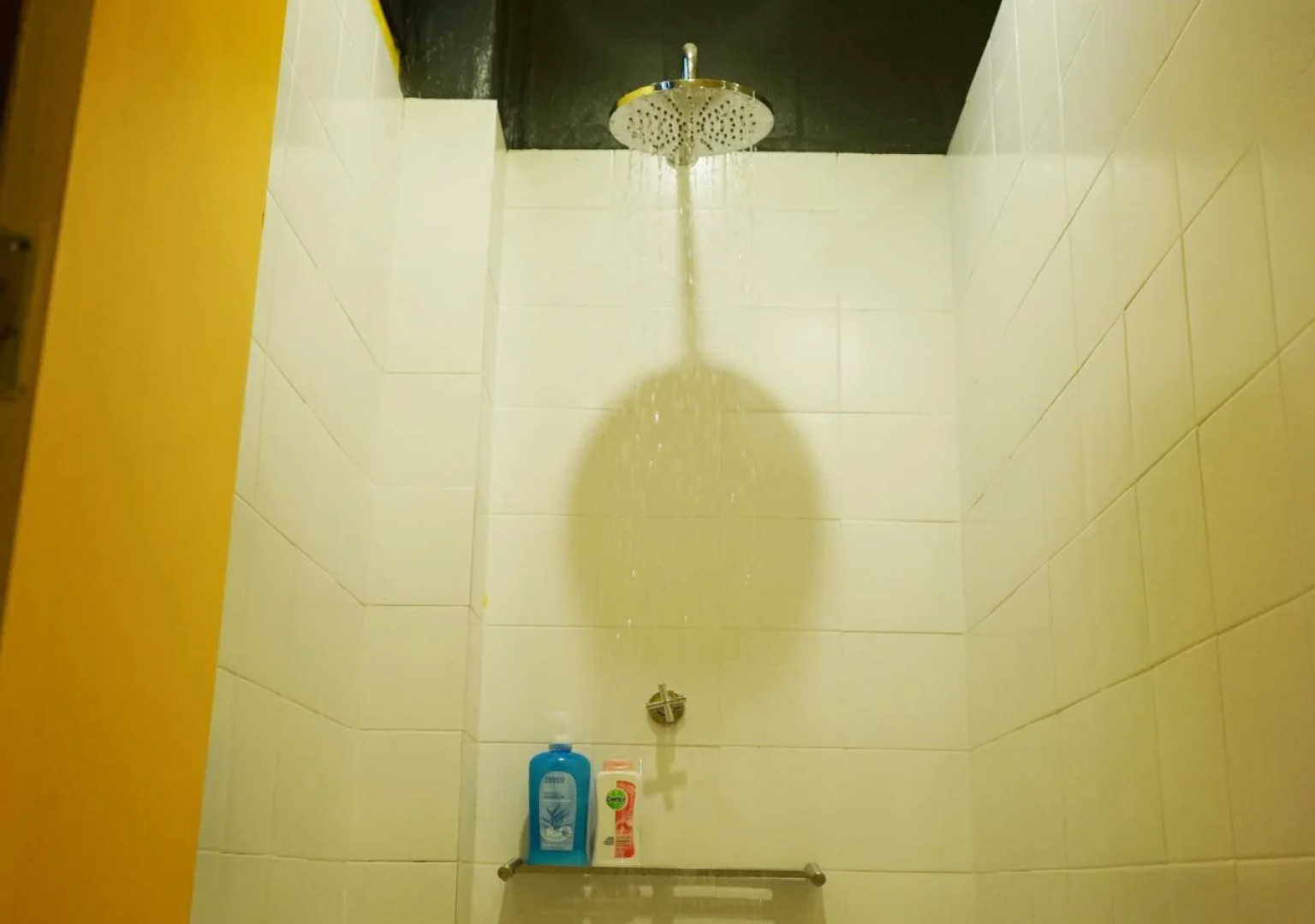 Monkey Dive Hostel Khaolak