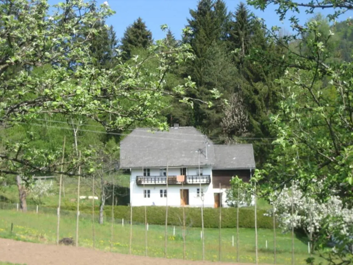 Ferienhaus Mesnerhaus Steuerberg