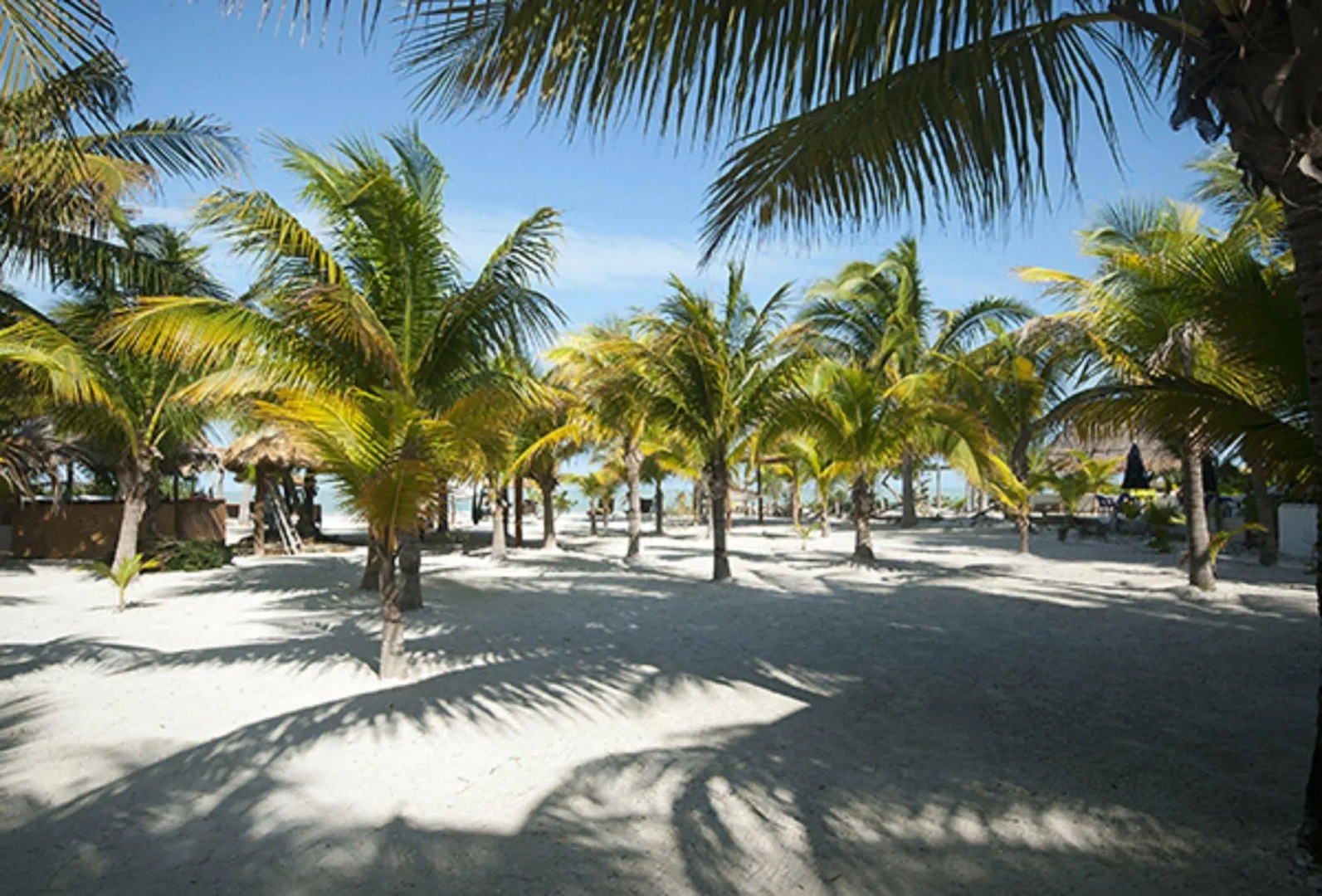 Zomay Beachfront Hotel Holbox