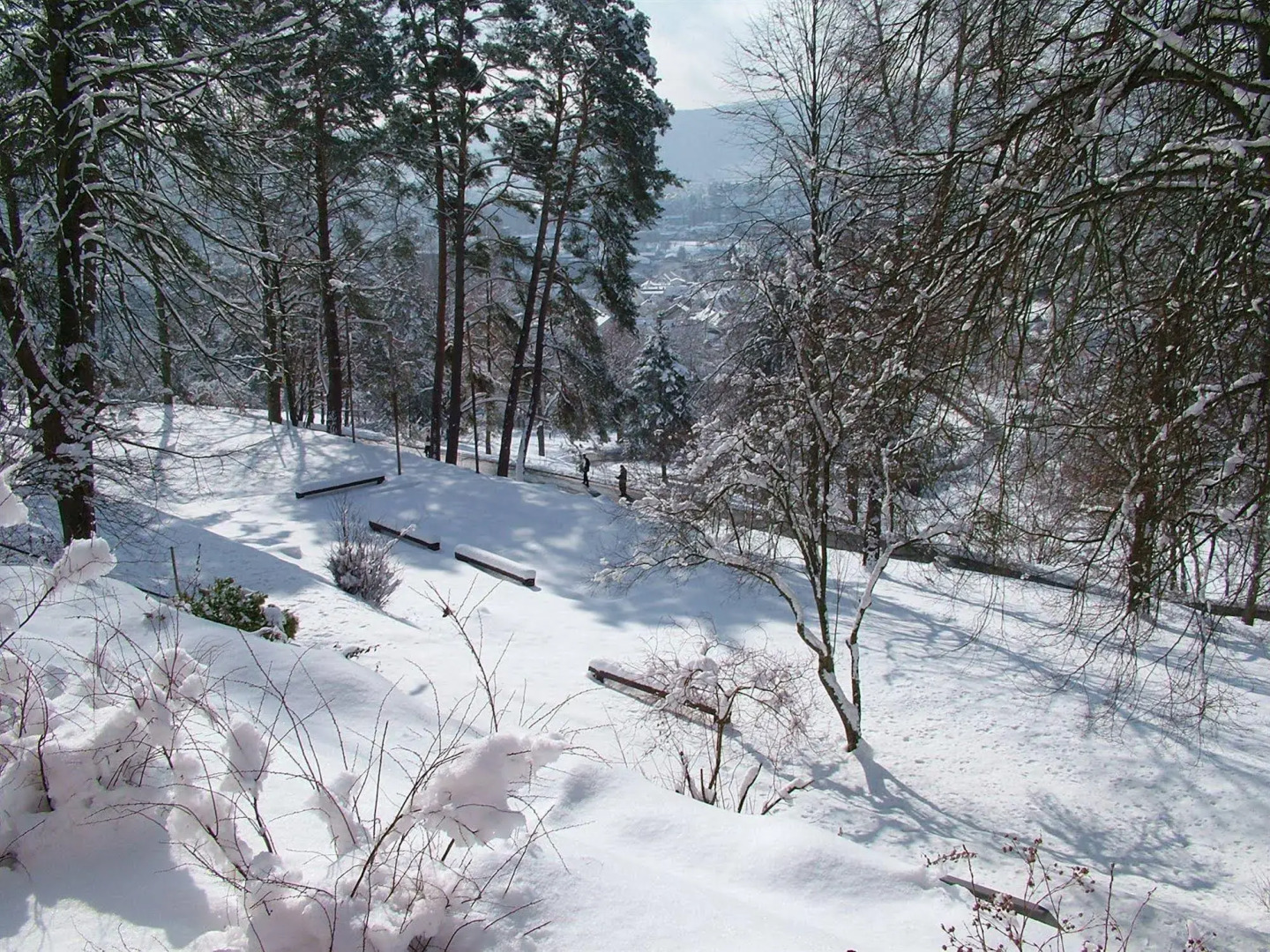Hotel Franziskushöhe