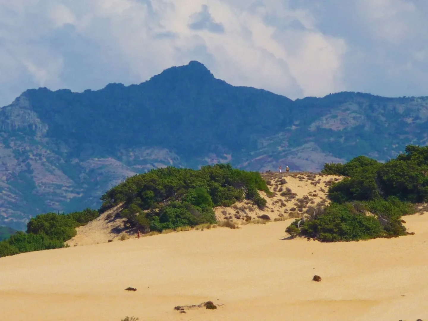 Agriturismo Sa Tanca