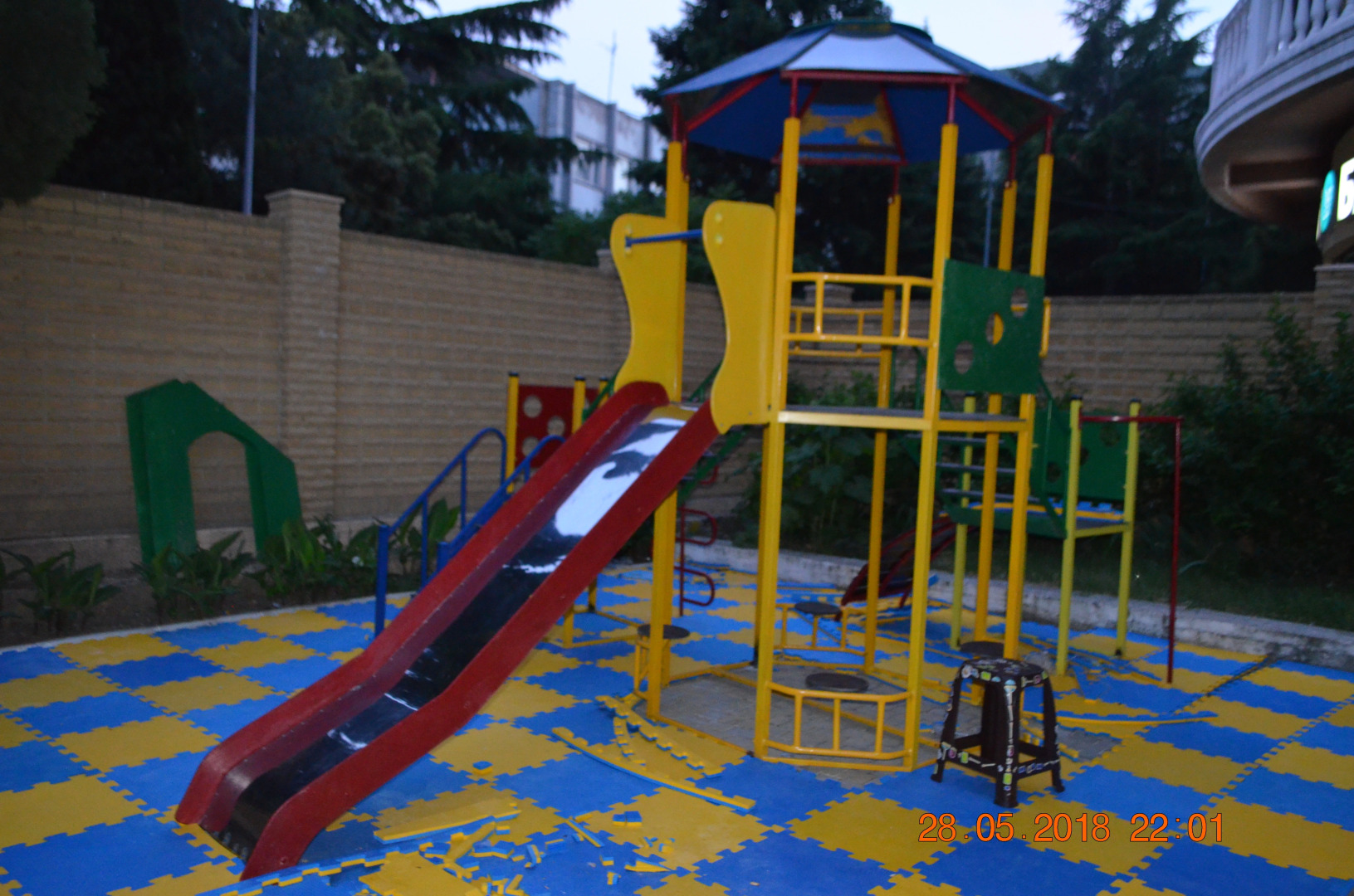 Дельфин (Партенит)