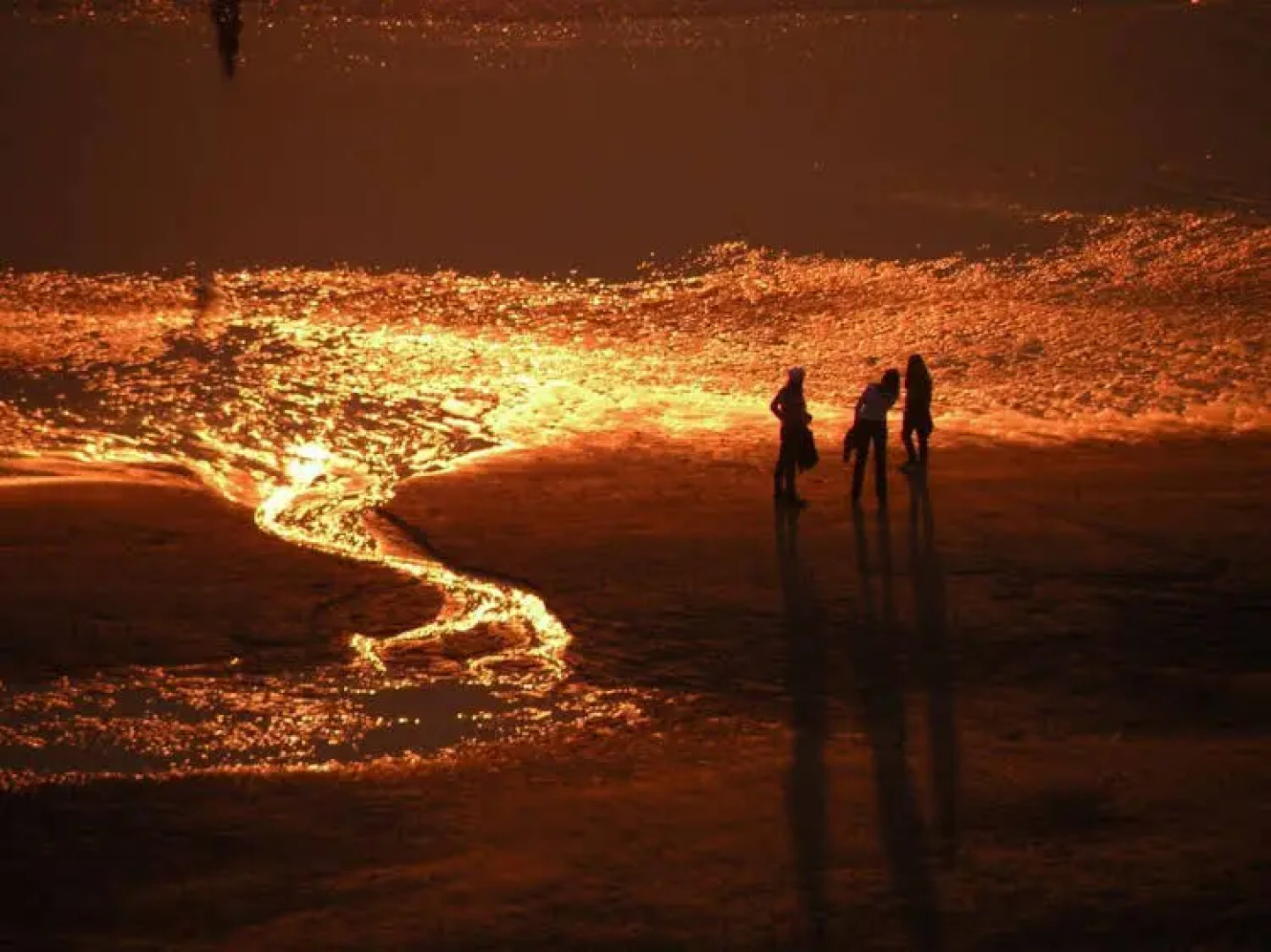 Appartement en Studio Papillon