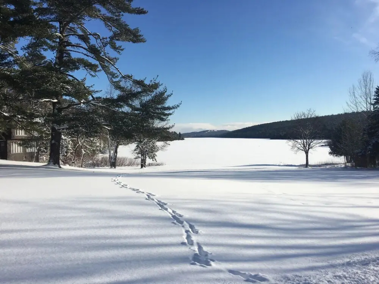 Lake Fanny Hooe Resort-2 Bed With Balcony #12 1 Bedroom Hotel Room by RedAwning