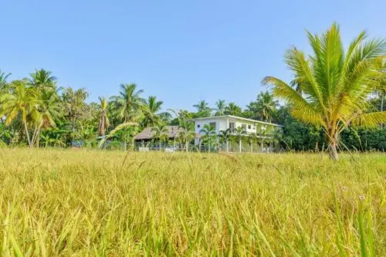 Hotel Ancient Village