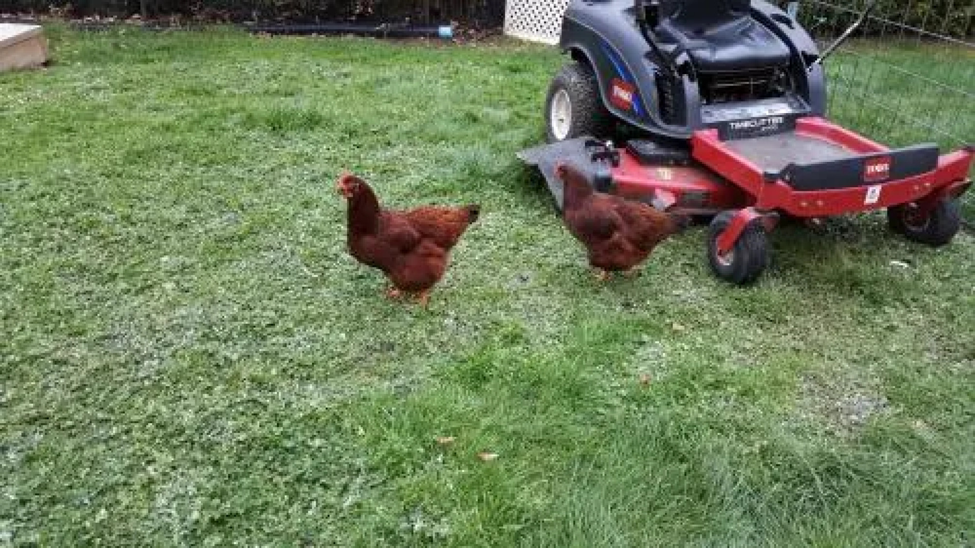 Wisteria Lodge Bed and Breakfast