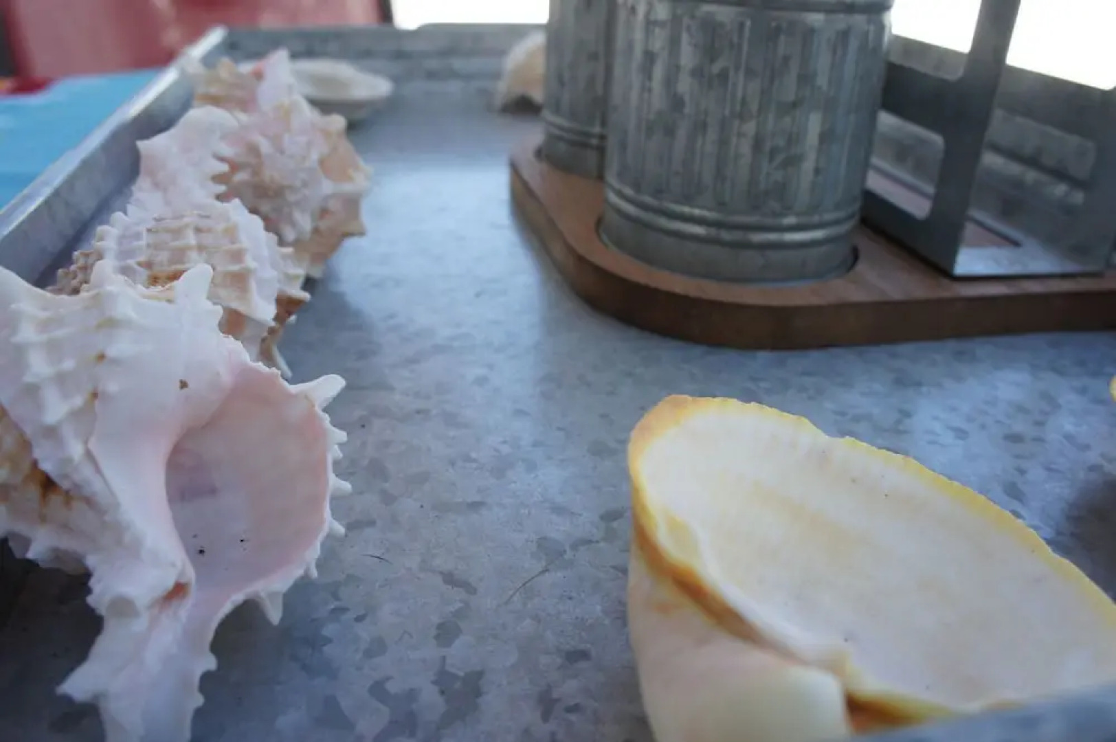 Bahia 176 3 BR by Casago