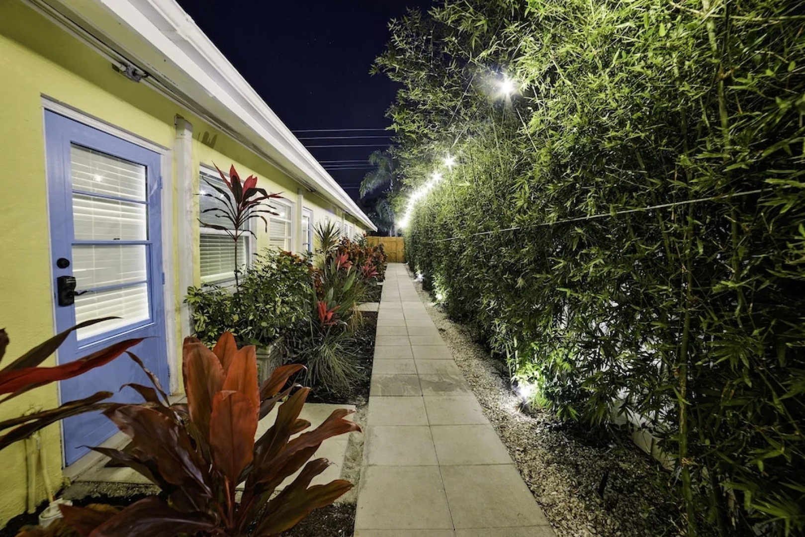 The Elephant Ear Cabanas
